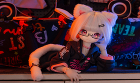 开箱一只65CM的小喵