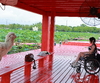 荷花池畔有长风