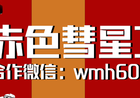 阳葵到家了~KiraDols家大手办开箱和拍摄~