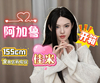 【胶享樂】阿加鲁 155cm 佳米 全皮纹 周年庆特惠款！开箱！