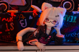 开箱一只65CM的小喵