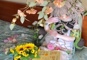 金丝萝阿尼亚爆改小草神