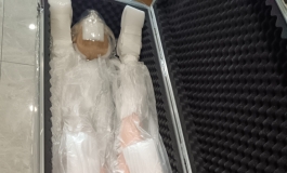 先纳信战斗机体验官，很满意！