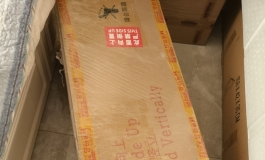 shedoll167开箱