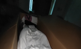 白嫖怪，嘿嘿娃娃到家了