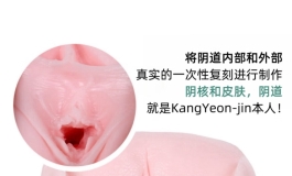 水个贴，想问下国内有哪个厂家可以做全阴道复刻