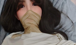 冰2盘古tpe160松骨架