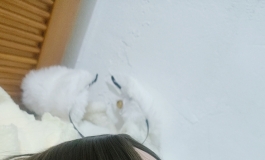 饭空 偷跑回家强吻雅拉