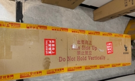 shedoll娃娃购买帖