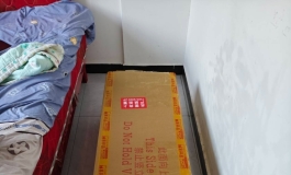《新娃开箱——shedoll(顾小雨胡桃妆，2.0头+168身体)》