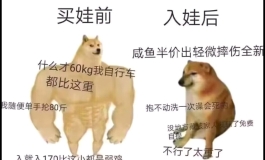 新手第一次玩，真的太太太重了。。。