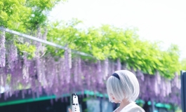 2b小姐姐米木版