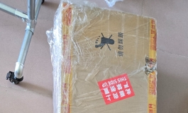 开箱！！！！163江小婉，硅胶不减重加软松骨架皮纹