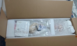 《新娃开箱-shedoll（洛伊1.0+148tpe）松骨架》