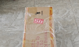 新娃开箱——shedoll闭眼楚玥2.0+163全硅胶身体