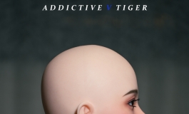 测评——Irontech Doll 161身形