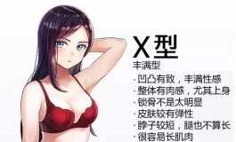 悦互动下一个新体型150cm-155cm左右