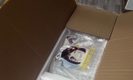 一朵梨花压海棠，shedoll新体型160小棠开箱+新关节测评+晒图