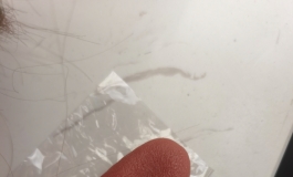 2块钱的小舌头 非常好用