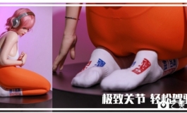 请问可做出这个姿势的娃娃有哪些？