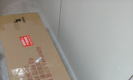 悦互动 头身一体 172cm晓悦到家了