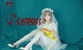 祝大家今天七夕快乐哟！catdoll全tpe米兰！