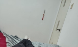 雨和猫盘古娃用了两个月依旧很好