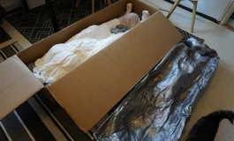 IDODOLL最新开箱测评，167F+ID3S，小太阳一样的甜妹狠狠爱了