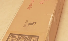 FUDOLL 166 開箱　＋環奈睡眠圖