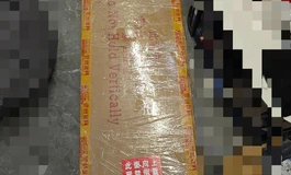 《新娃开箱——SheDoll 江小婉 163全硅胶不减重》