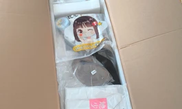 新娃开箱--Shedoll 顾小雨2.0定制妆，158全硅胶