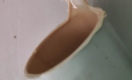 经过努力也是成功给娃娃穿上了皮肤衣