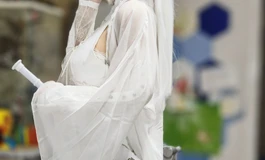 盘古165+冰2厂 白衣仙子