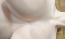 pdd买了岛崎家的半身