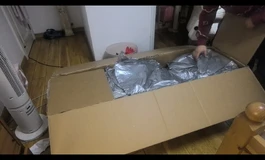 lacedoll160c夏沫皮纹e系列，超软，硬手简易硬脚！开箱