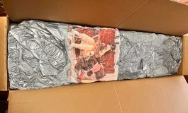 shedoll青柠和楚玥开箱