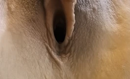 真人倒膜飞机杯测评推荐—大能猫春水玉壶