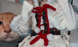 南溪妹妹的圣诞节预热，最后有小烧烧反差