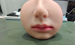 手搓床上清洗器（抄王清）+晓鸟飞机杯评测