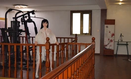 分享娃娃的日常保养