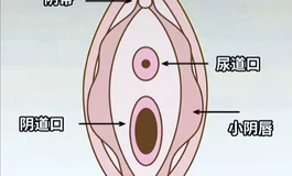 1:1复刻阴道的娃娃下体，非常疯狂的一次尝试