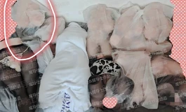 lovefactor完熟女郎解体展示