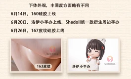 【辞蛇忆故，驰马迎新】Shedoll2025年度大事件总结，感谢大家一路相伴