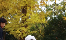 【多图美图预警】冬日的精灵——Shedoll楚玥2.0青苹果定制妆容户外实拍