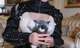 春水堂月度摄影参赛作品第二季