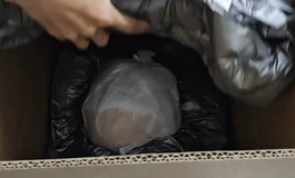 暴雨153猫9开箱咯