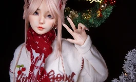 Shedoll双旦摄影大赛