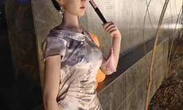 丁火夫人 木木夕伴侣:梦菲