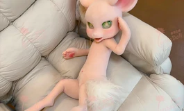 超可爱小猫鼬，小苏比