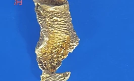 真人阴道《八易其稿，两月值否？》大能猫